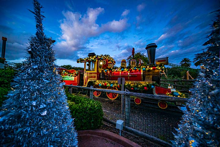 Árvore de natal e trem no Busch gardens