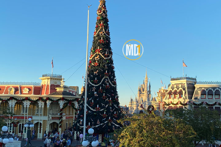 Árvore de natal no magic Kingdom