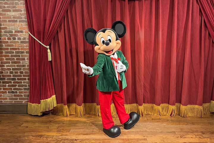 mickey-christmas-look-magic-kingdom