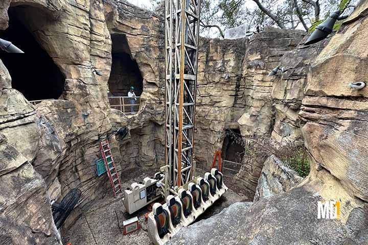 tree-top-drop-wild-oasis-busch-gardens