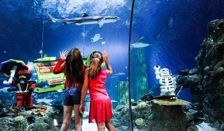 sealife-aquarium-florida-legoland