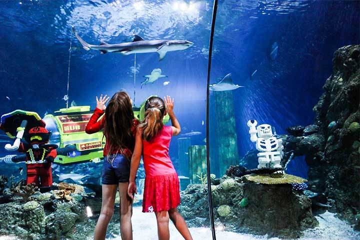 sealife-aquarium-florida-legoland