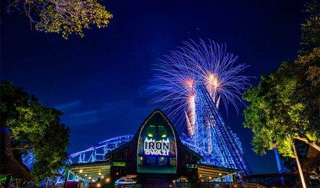 summer-nights-busch-gardens