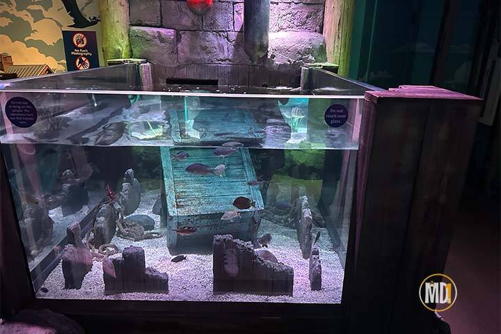 legoland-florida-sealife-aquarium