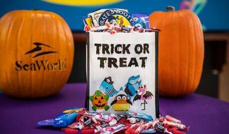 spooktacular-seaworld-2025